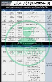 🌊 Join Pakistan Navy as Sailor (S) Batch B-2025 Technical Complete Guide
