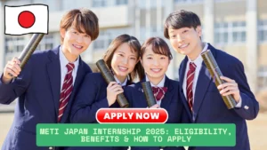 METI Japan Internship 2025