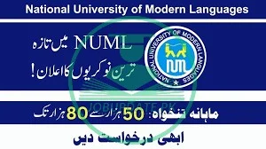 National University of Modern Languages