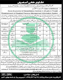 Social Welfare and Bait-Ul-Maal Punjab Jobs 2025