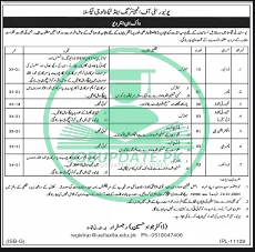 University of Engineering and Technology Taxila Jobs 2025