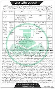 Wildlife Department KPK Jobs 2025