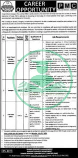 Punjab Mineral Company Jobs